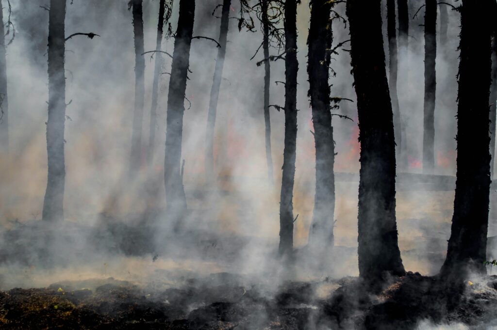 Climate Change Fuels Europe’s Wildfires