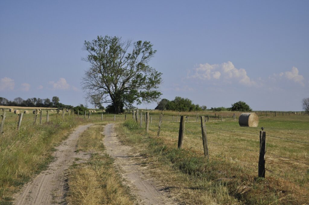 Brazil Pushes Nations to Deliver Climate Promises Before Summit