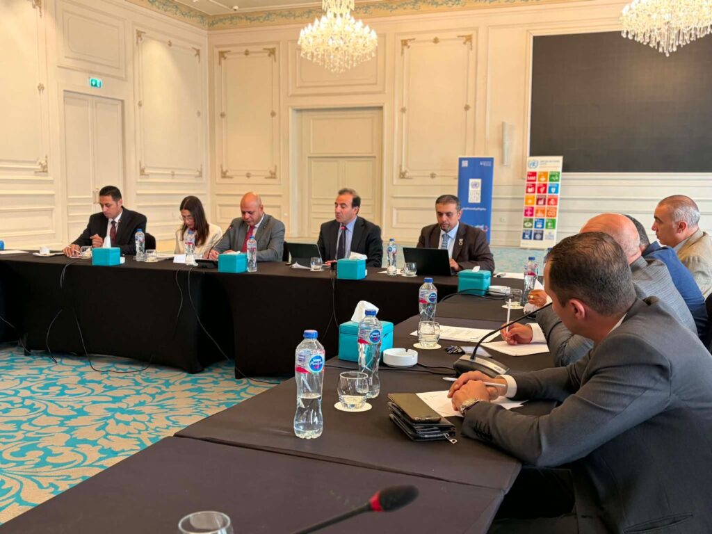 Egypt Disaster Risk Financing Plan Boosted