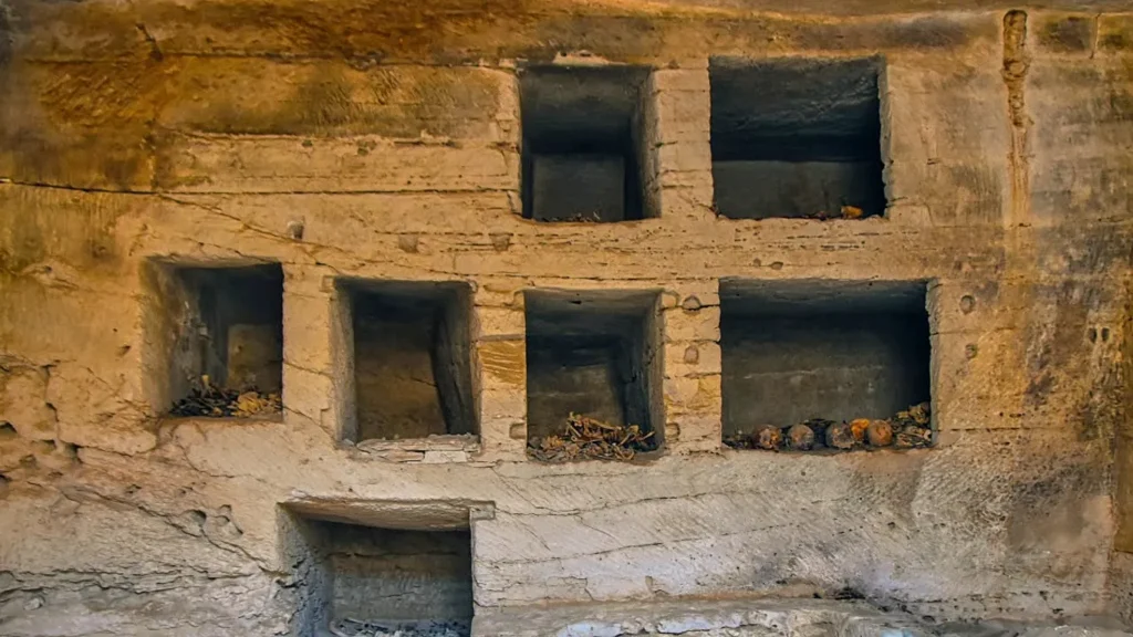 Egypt Golden Tongue Tombs Reveal Ancient Secrets
