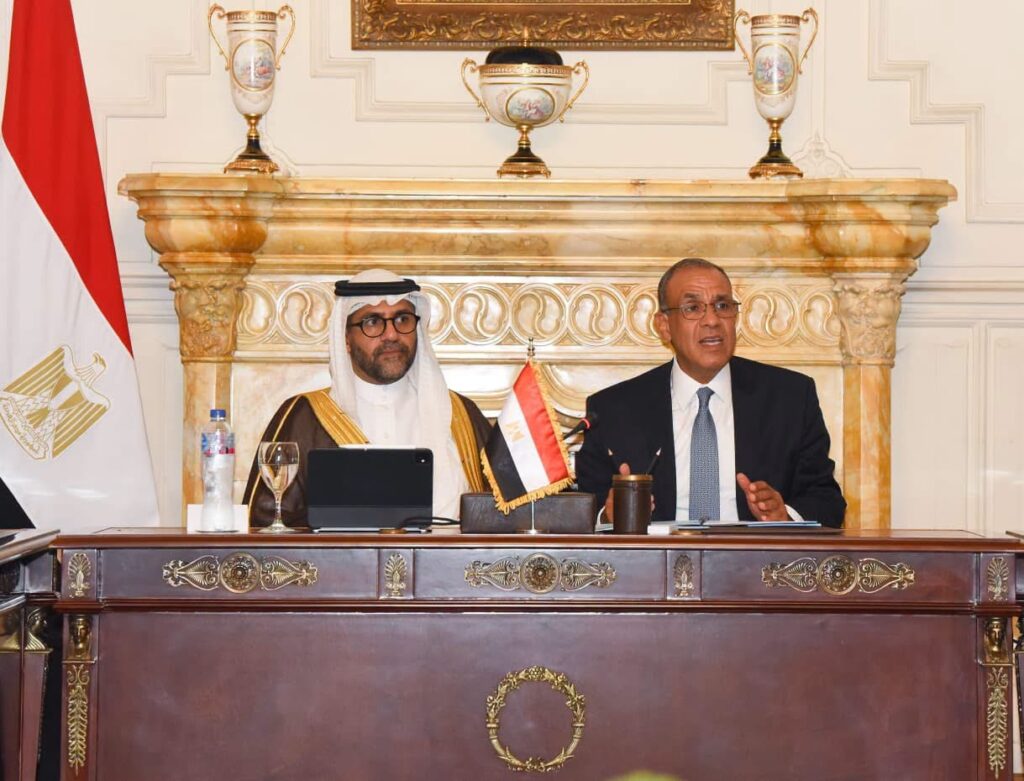 Egyptian Investment Entity Africa Project Moves Ahead