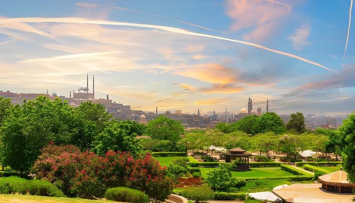 Egypt Launches Greening Cairo Tree Planting Plan Egypt Launches Greening Cairo Tree Planting Plan